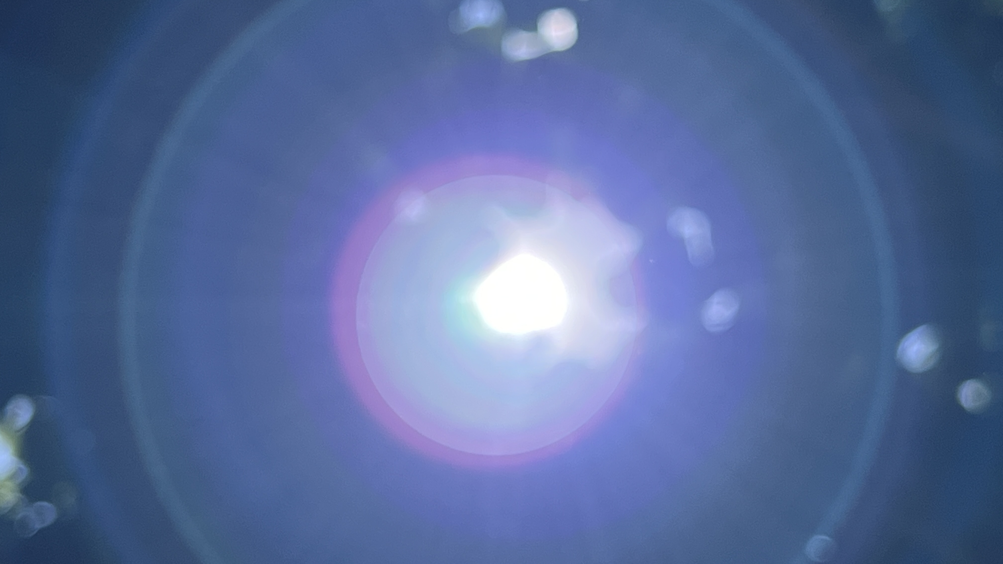 【保山安利醫(yī)院】云南省殘疾人康復(fù)協(xié)會、云南省康復(fù)醫(yī)學(xué)會調(diào)研組蒞臨我院參觀調(diào)研！